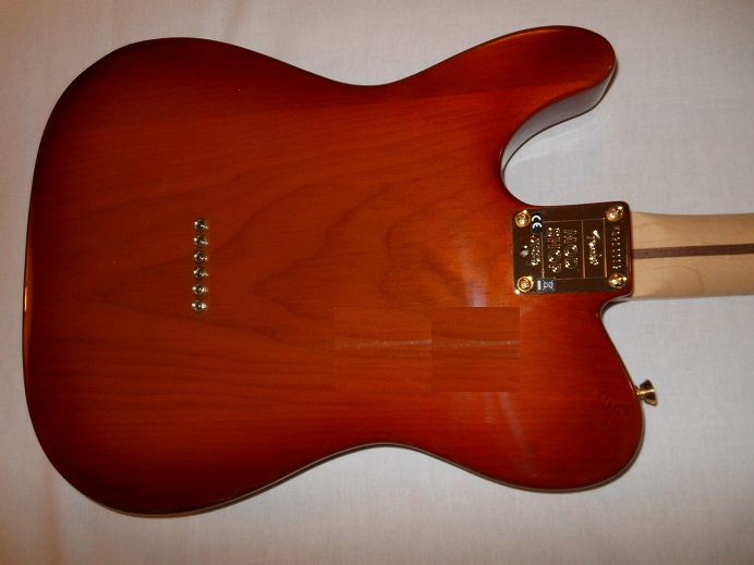 Mod Shop Telecaster Picture 9